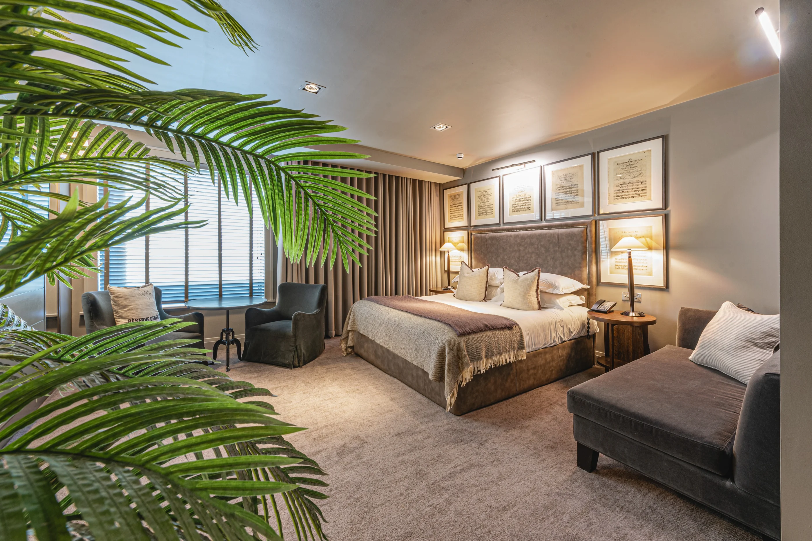 Junior Suite 